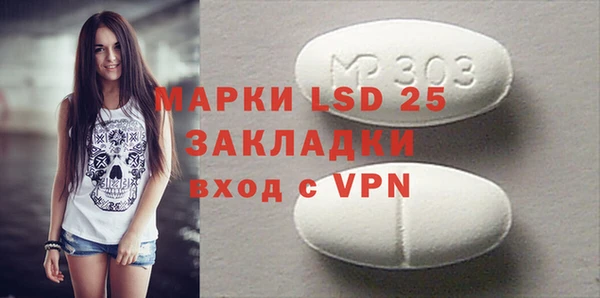 индика Костерёво