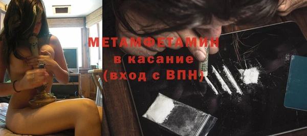 индика Костерёво