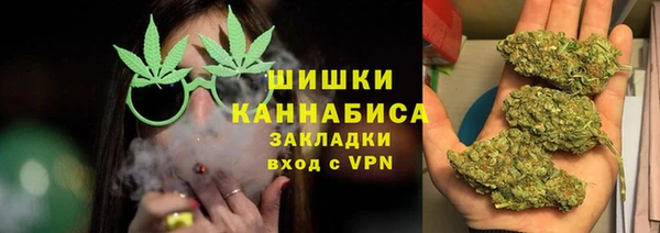 индика Костерёво