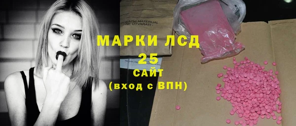 индика Костерёво