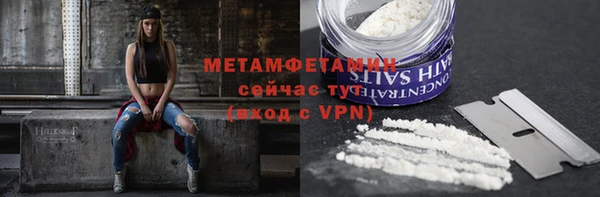 индика Костерёво