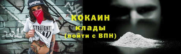 индика Костерёво