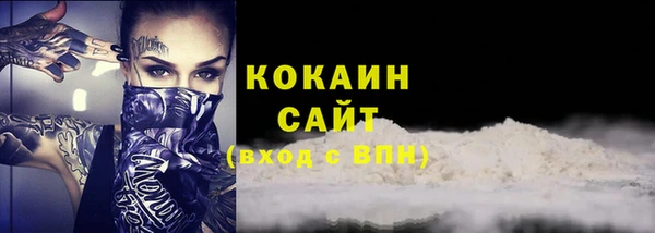 индика Костерёво