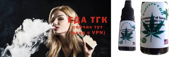 индика Костерёво