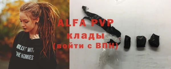 индика Костерёво