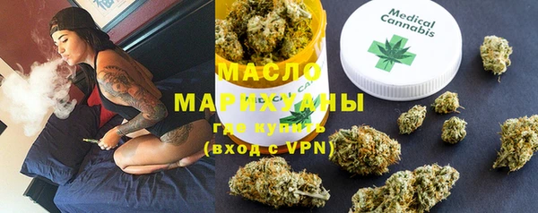 индика Костерёво