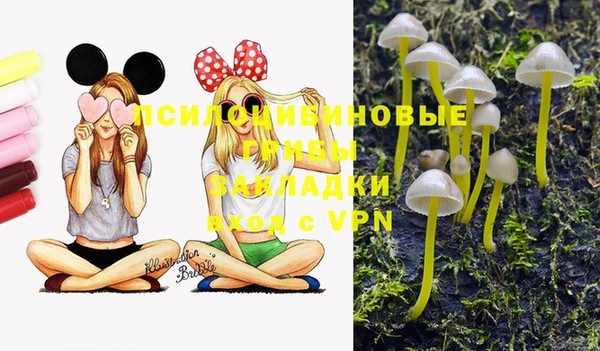 кокаин премиум Коряжма