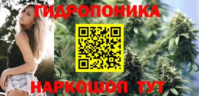 стаф Коммунар