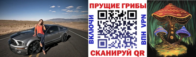 Псилоцибиновые грибы мухоморы  Кингисепп 