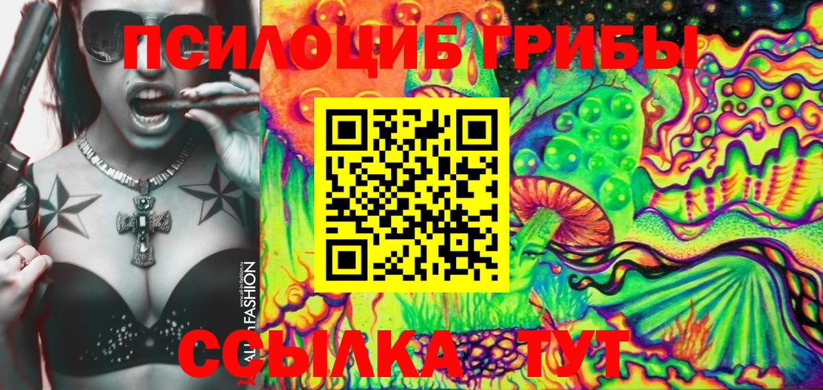 Псилоцибиновые грибы MAGIC MUSHROOMS  Вход с VPN  Кингисепп 