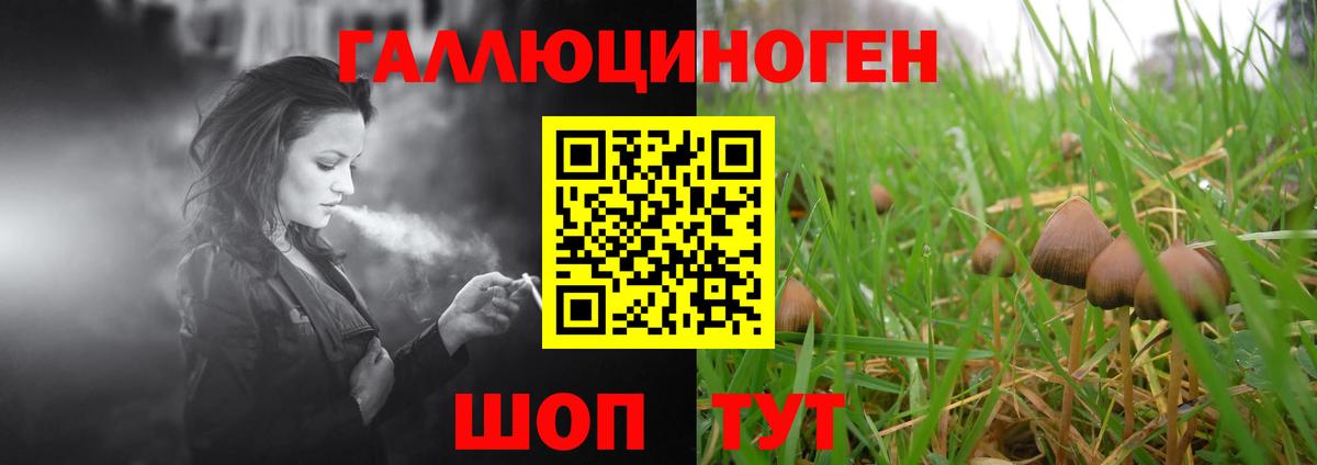 Галлюциногенные грибы MAGIC MUSHROOMS Кингисепп
